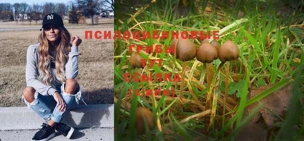 шишки Мегион