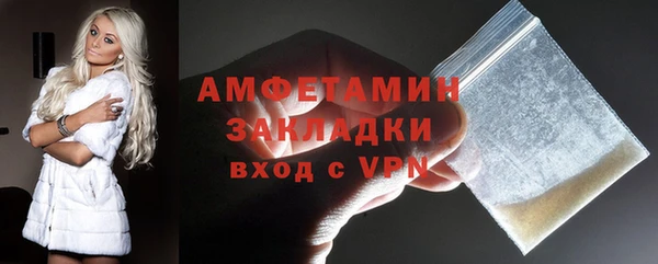 шишки Мегион