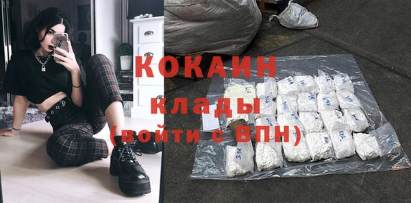 шишки Мегион