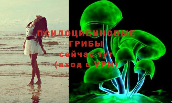 наркотики Медвежьегорск