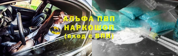 шишки Мегион