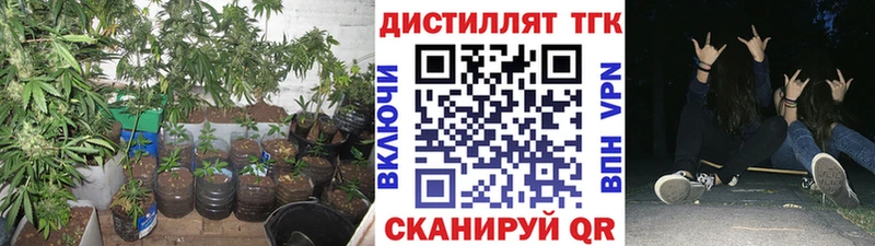 закладка  Нефтегорск  ТГК THC oil 