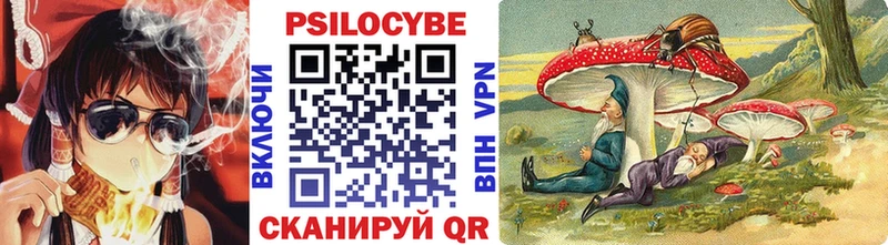 Галлюциногенные грибы Psilocybe  цены   Нефтегорск 